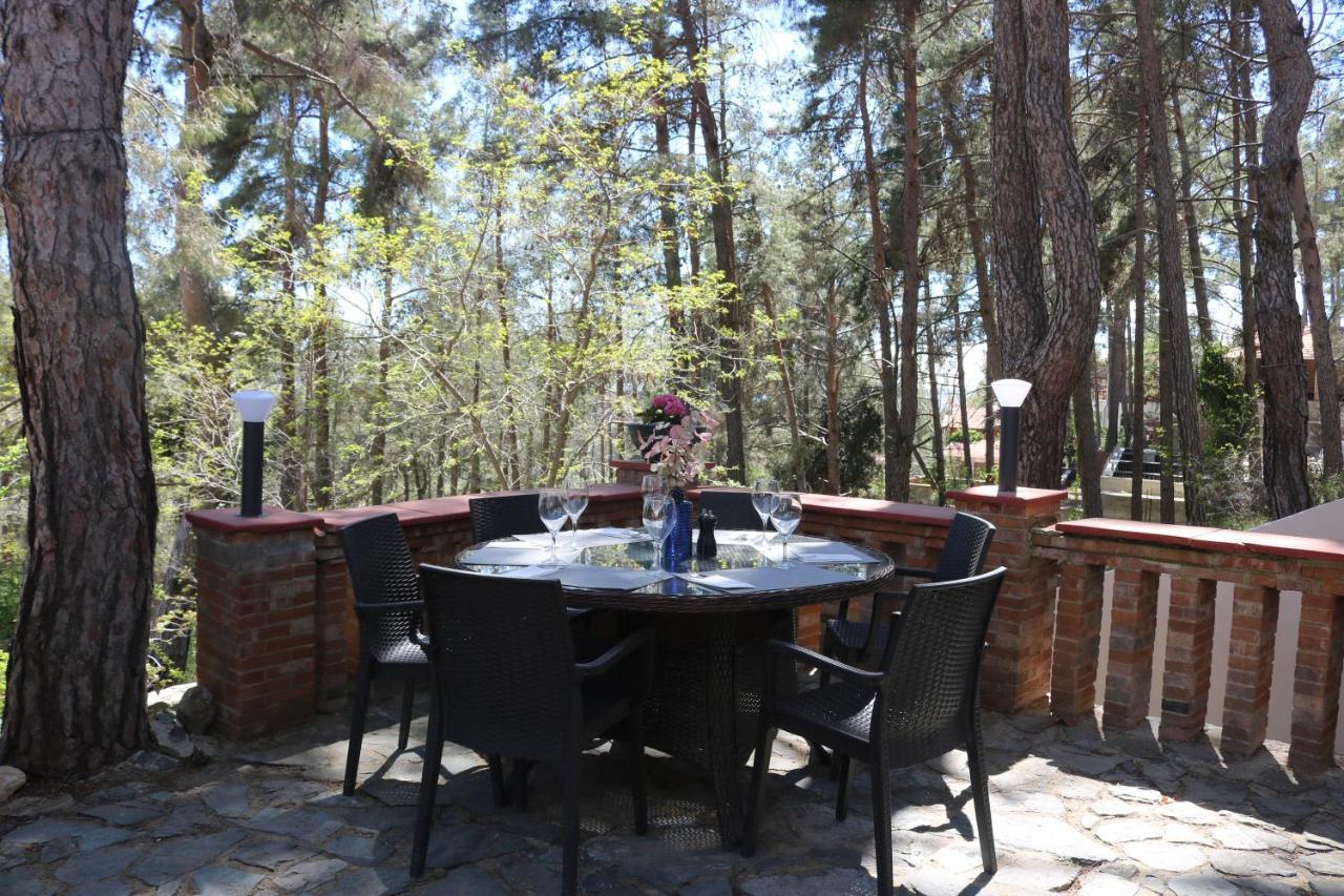 Semiramis Lodge Platres Ngoại thất bức ảnh