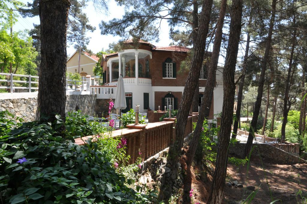 Semiramis Lodge Platres Ngoại thất bức ảnh
